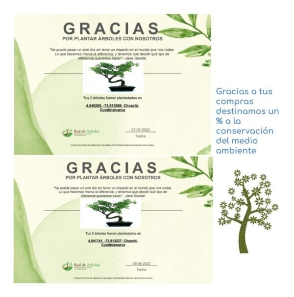 Cubierta Cepillo Principal Aspiradora Xiaomi Mop Pro